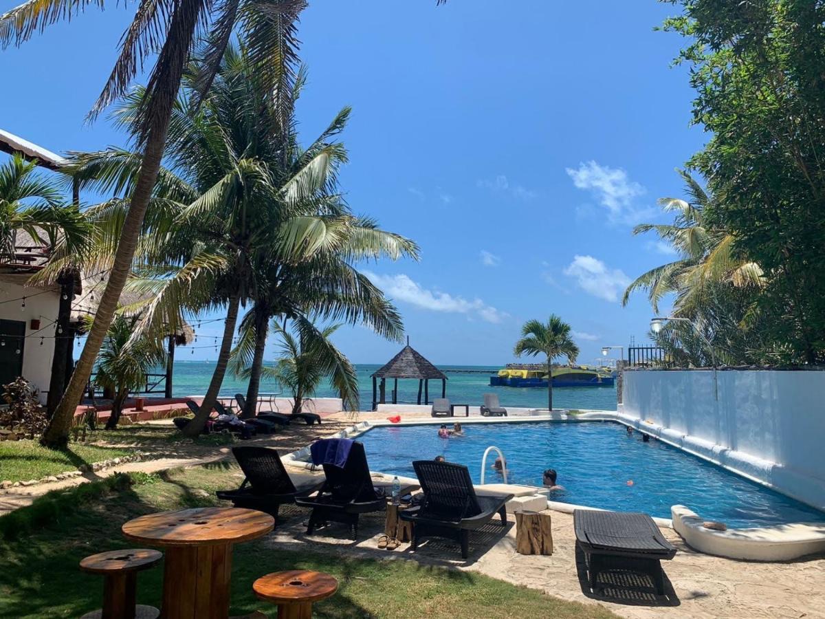 Casa Caribe 칸쿤 외부 사진 The beach at the resort