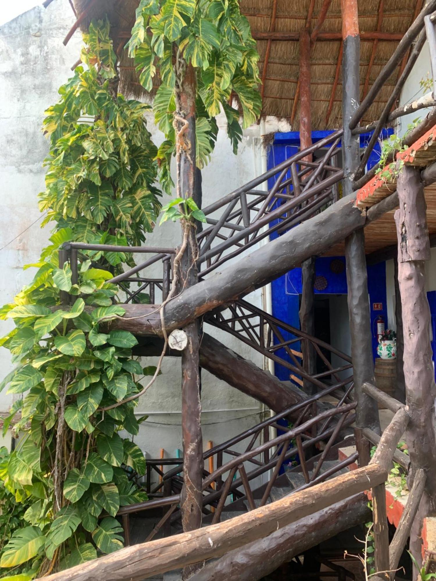 Casa Caribe 칸쿤 외부 사진 Bamboo staircase